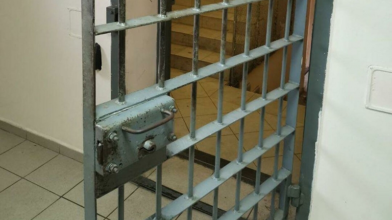Частные охранные предприятия Истры переведены в усиленный режим в связи с побегом заключённых