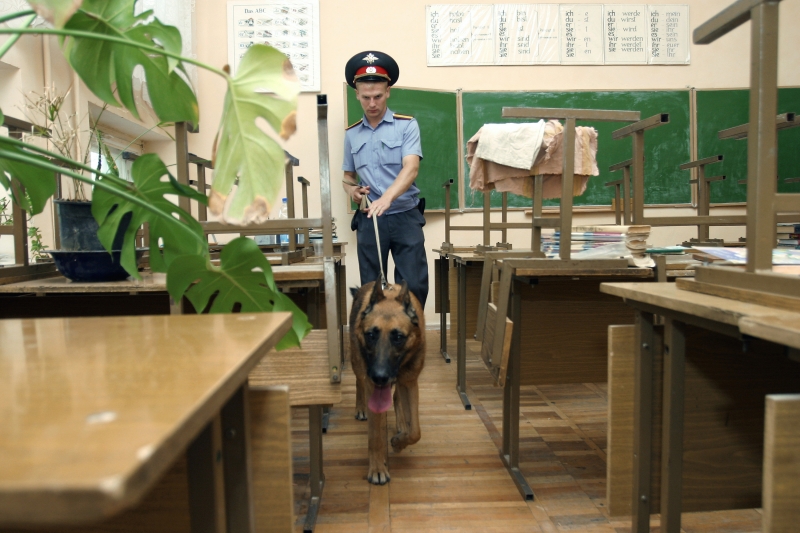 В России проверили безопасность всех школ после трагедии в Казани — Кравцов